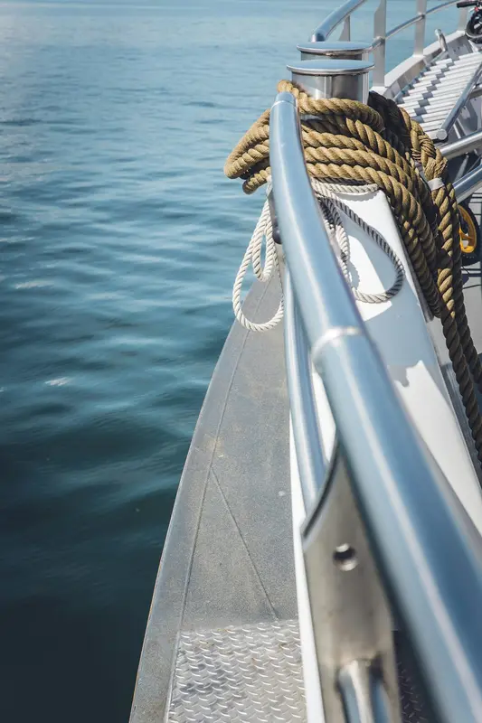 Serene.Boats Premium Domain